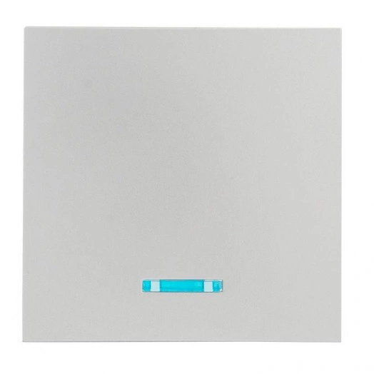 Панель лицевая Валенсия для выключателя 1-кл. с индикатором 10А сталь PROxima EKF ESV10-L-121-30