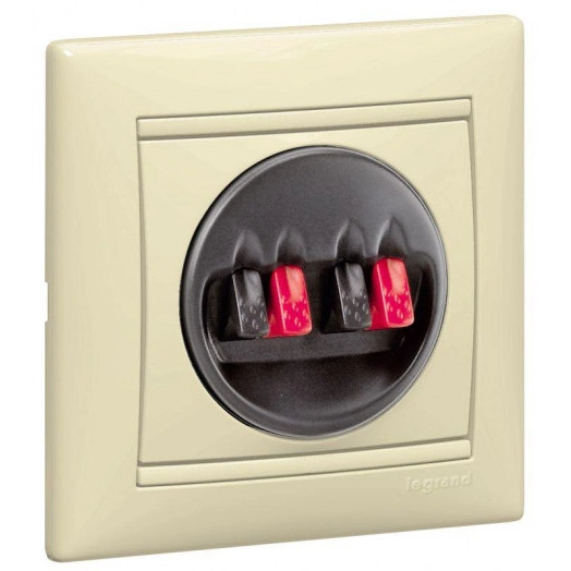 Розетка 2-м СП Valena для динамиков механизм сл. кость Leg 774324