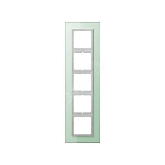 Рамка 5-я для горизонтальной/вертикальной установки  Серия- LS plus  Материал- стекло  Цвет- матовый белый