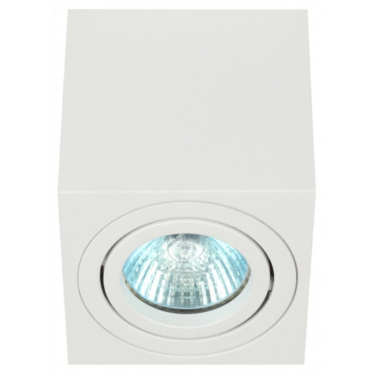 Светильник настенно-потолочный спот OL22 WH MR16/GU10, белый, поворотныйлампа MR16 ( в комплект не входит) ЭРА