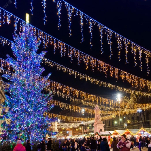 Гирлянда светодиодная декоративная ARD-EDGE-PRO-5600x900-WHITE-240LED-FLASH WARM (230V, 15W) (ARDCL, IP65)