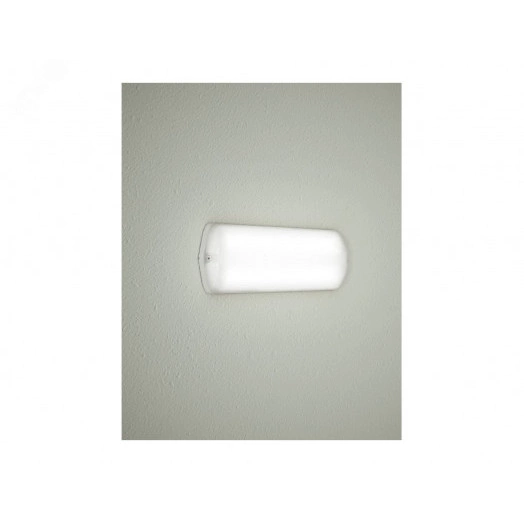 Светильник светодиодный TLM02 OL 12w 850Лм 5000К IP65