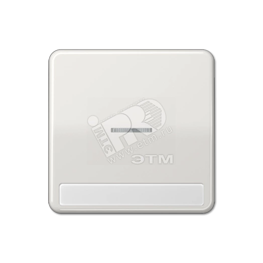 Клавиша с окошком для выключателя с подсветкой и полем для надписи  светло-серая