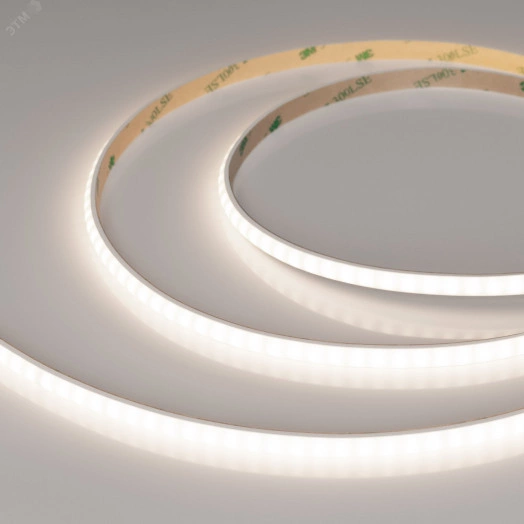 Лента герметичная RTW-PW-A160-8mm 24V Day4000 (10 W/m, IP66, 2835, 5m) (Arlight, Матовая)