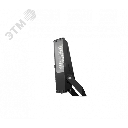 Светильник ДО-08-150-101 FLG 750