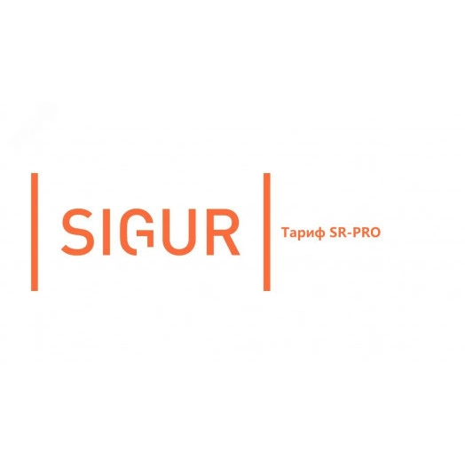 Платная поддержка, тариф PRO