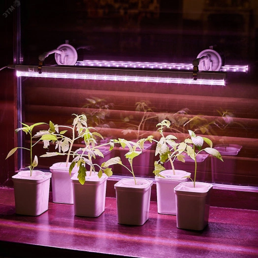 Светильник для растений светодиодный линейный 560мм выкл на корпусе Спектр для фотосинтеза TM