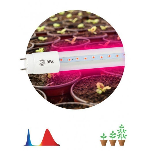 Лампа светодиодная FITO-18W-RB-Т8-G13-NL 18Вт T8 линейная 96LED 2835 IP20 35000ч для растений красн./син. спектр стекло Эра Б0042990