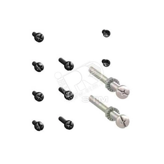 Комплект винтов (NSX100/250)