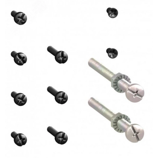 Комплект винтов (NSX100/250)