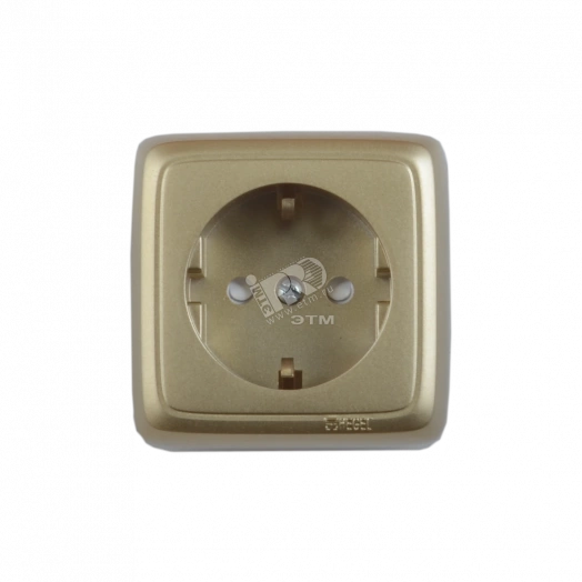Розетка наружная с заземлением с изоляционной пластиной со шторками золото