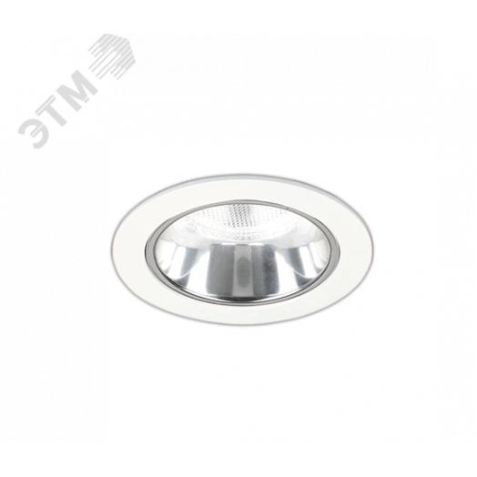 Светильник ДВО-24-13-001 DLY 840