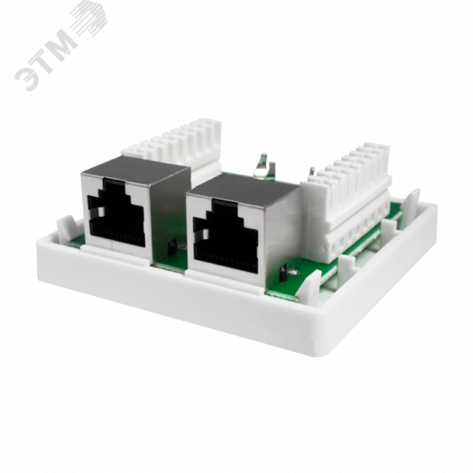 Розетка компьютерная 8P8C (RJ-45). FTP. Cat.5e. 2 порта (DIY)