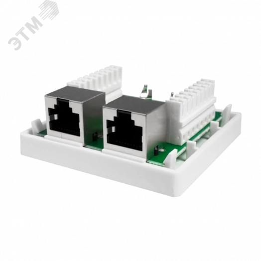 Розетка компьютерная 8P8C (RJ-45). FTP. Cat.5e. 2 порта (DIY)