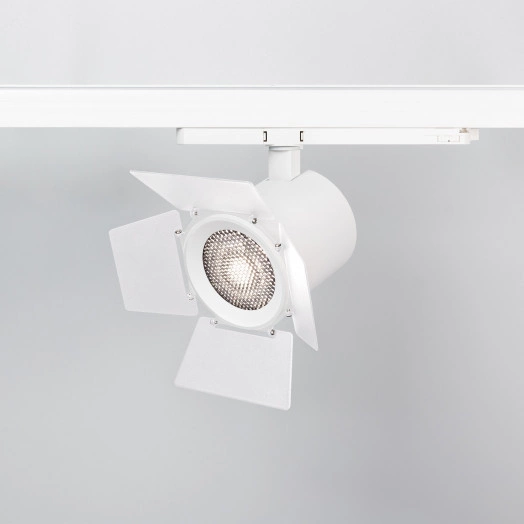 Бленда с сетчатым фильтром и посадочным кольцом LGD-NIKA-BDH-R100 (WH-BK) (, Металл)