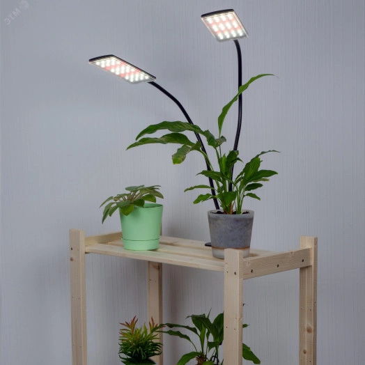 Светильник для растений светодиодный с таймером на прищепке ULT-P37-24W/SPFB/TM/60 IP40 BLACK TWIN Спектр для фотосинтеза