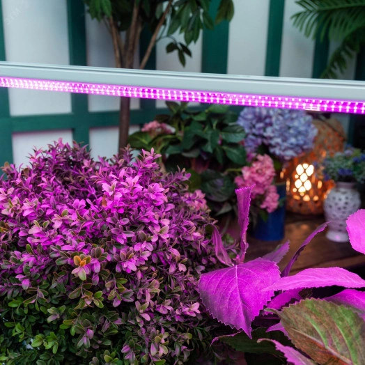 Светильник для растений ULI-P21-24W/SPSB IP40 WHITE светодиодный линейный 872 мм выкл на корпусе Алюминий Спектр для рассады и цветения