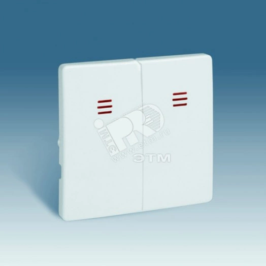 Клавиши (2 шт) для 75393-, 75394-39, S82,82N, шампань