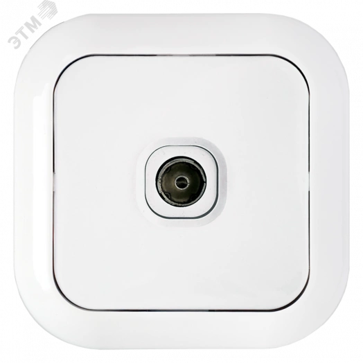 Беларусь Розетка телевизионная скрытая