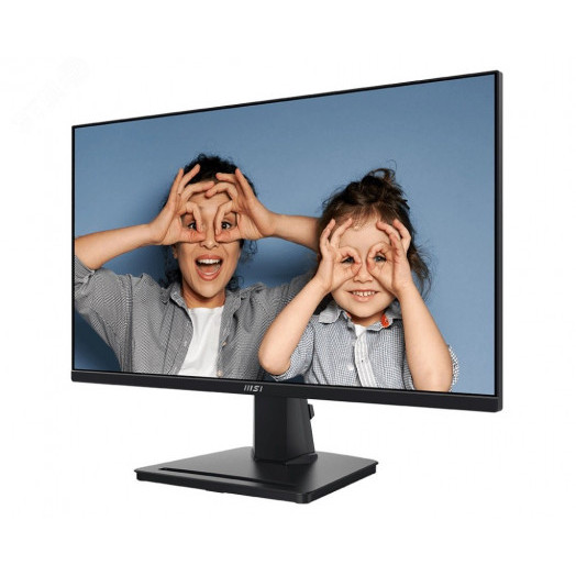 Монитор для компьютера 24.5'' PRO MP251P,IPS,1920x1080,D-Sub,HDMI,4ms,300cd,100Hz,MM