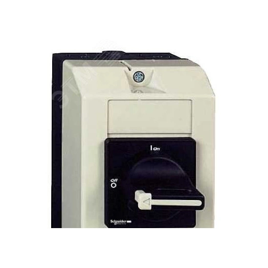 Выключатель-разъединитель главный 25А