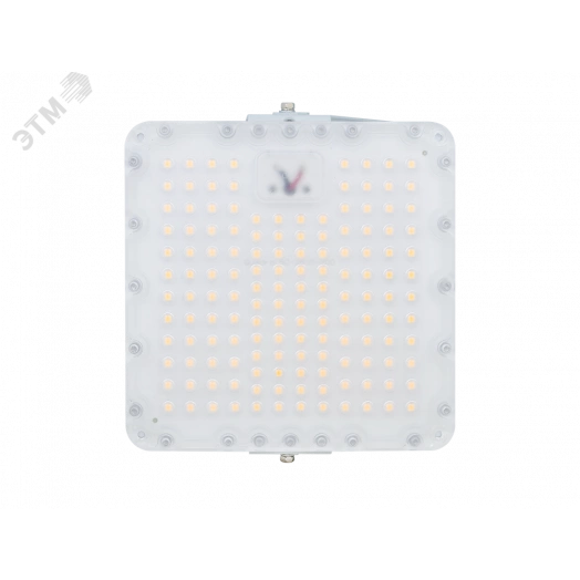 Diora Quadro 25/3600 Д 5K лира