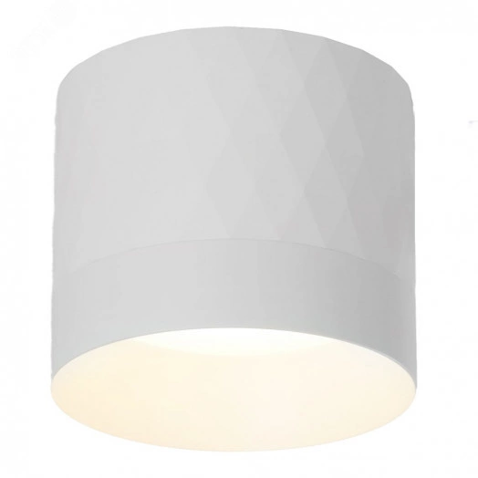 Светильник ДПО GX53 без лампы белый