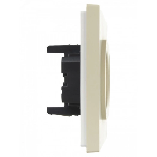 FORTE&PIANO Розетка 2-местная без заземления с защитными шторками безвинтовое крепление 10А FP425 ваниль IEK