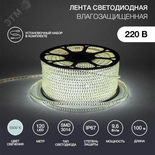 LED Лента уличная 220В, 6x10.6мм, IP67, SMD 3014, 120 LED/м, Белый, 100м