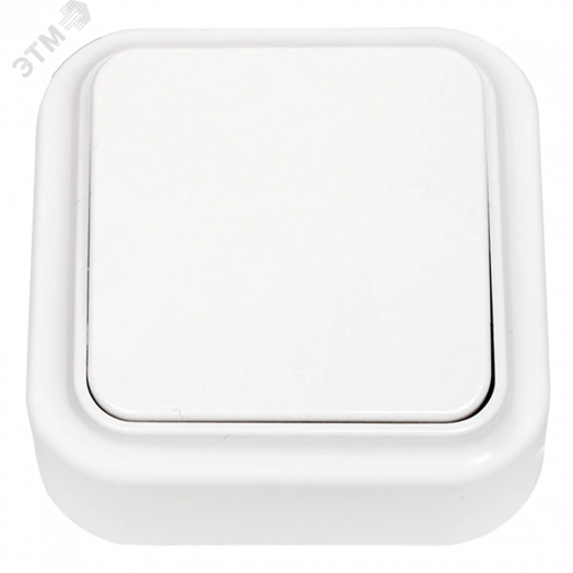 Выключатель одноклавишный наружный Пралеска