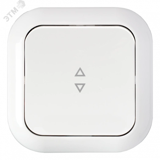 Беларусь Переключатель одноклавишный скрытый