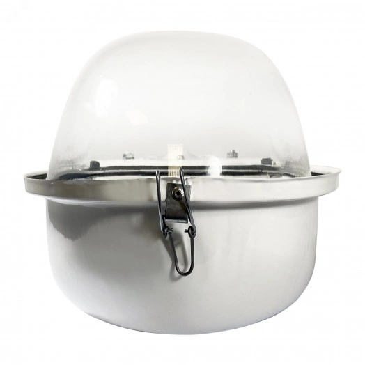 Светильник ЖКУ-06-100-010(M) со стеклом и конденсатором IP53