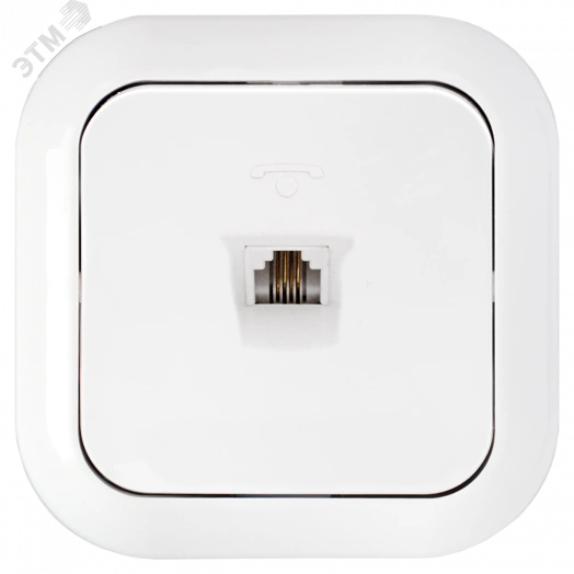 Беларусь Розетка телефонная скрытая ТР4-020