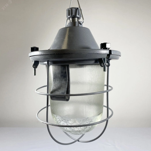Светильник НСП-11-200-425 подвесной на крюк/трубу с решеткой IP62