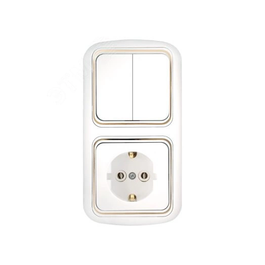 Беларусь Блок скрытый: выключатель двухклавишный + розетка 2К+З Гармония Люкс