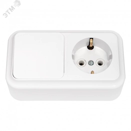 Беларусь Блок: выключатель одноклавишный + розетка с заземлением наружный Пралеска