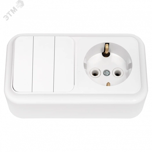 Беларусь Блок: выключатель трехклавишный + розетка с заземлением наружный Пралеска