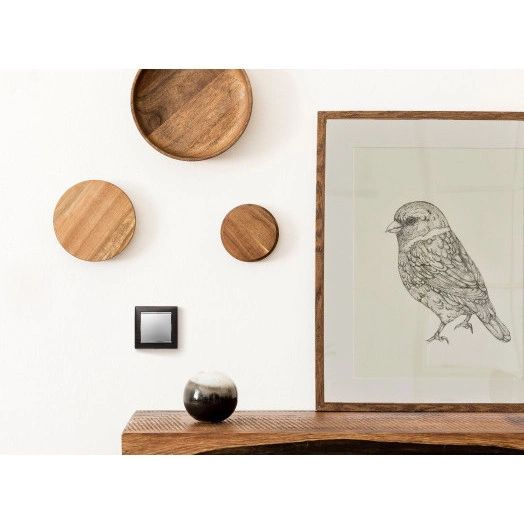 Выключатель одноклавишный, в рамку, алюминий