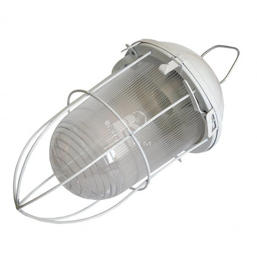 Светильник НСП-02-100-003 с решеткой окрашенный IP52