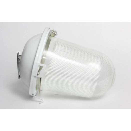 Светильник НСП-02(41)-200-001 без решетки окрашенный IP52