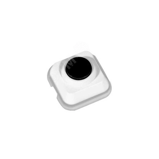 Выключатель одноклавишный наружный с монтажной пластиной