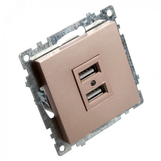 Розетка 2-местная USB (механизм), 250В, 2,4А, серия Катрин, шампань