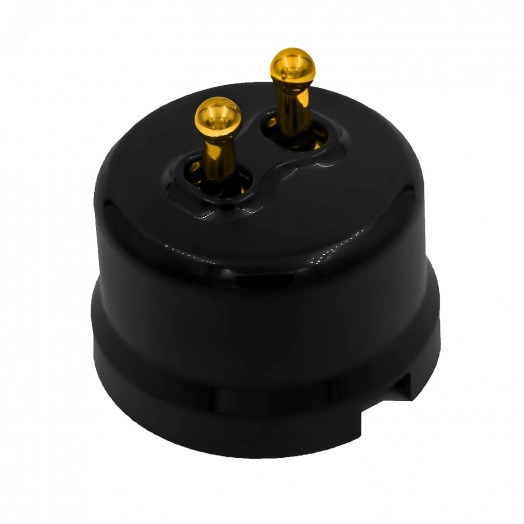 Выключатель Лизетта 2-кл., пластик, цвет Черный, Золото (тумблерный)