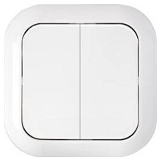 Выключатель двухклавишный скрытой установки