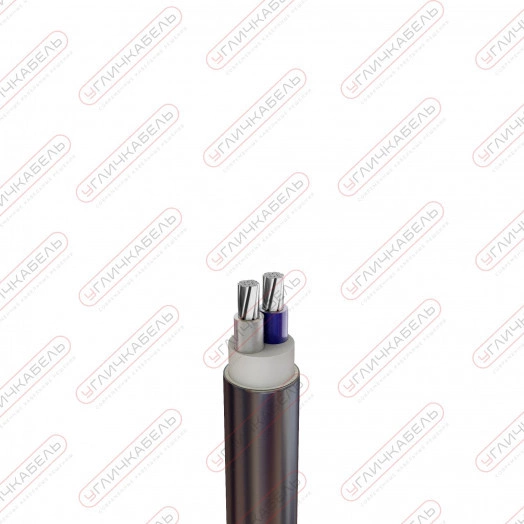 Кабель силовой АВВГнг(А) -LS 2х50 мк(N)-1