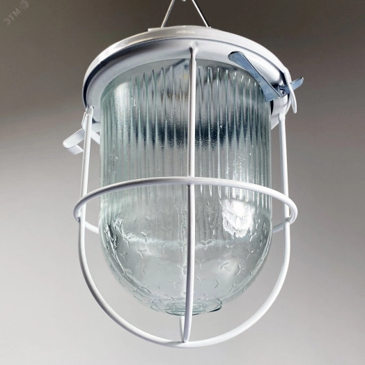 Светильник ДСП 01-09-002 IP54 Желудь LED 220В с   решеткой