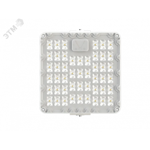 Diora Quadro Store 25/4100 5K лира