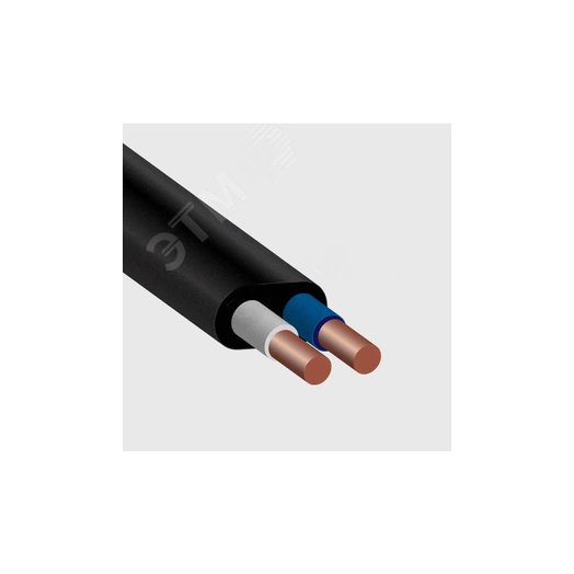Кабель силовой ВВГп-НГ(А) 2х4 (100м) -0.660 ТРТС