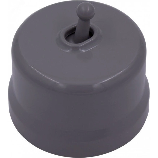 Выключатель Лизетта 1-кл. перекрестный, пластик, цвет Титан (тумблерный)