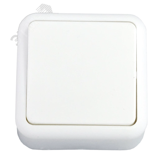 Беларусь Выключатель одноклавишный наружный